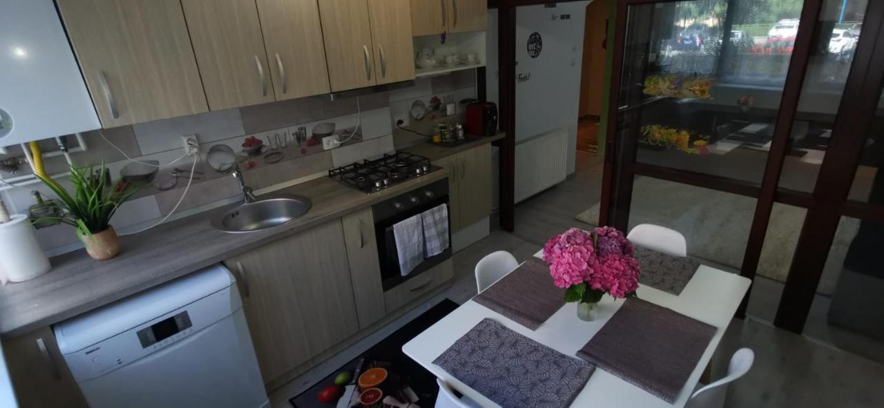 Ana Lux Apartments براشوف المظهر الخارجي الصورة